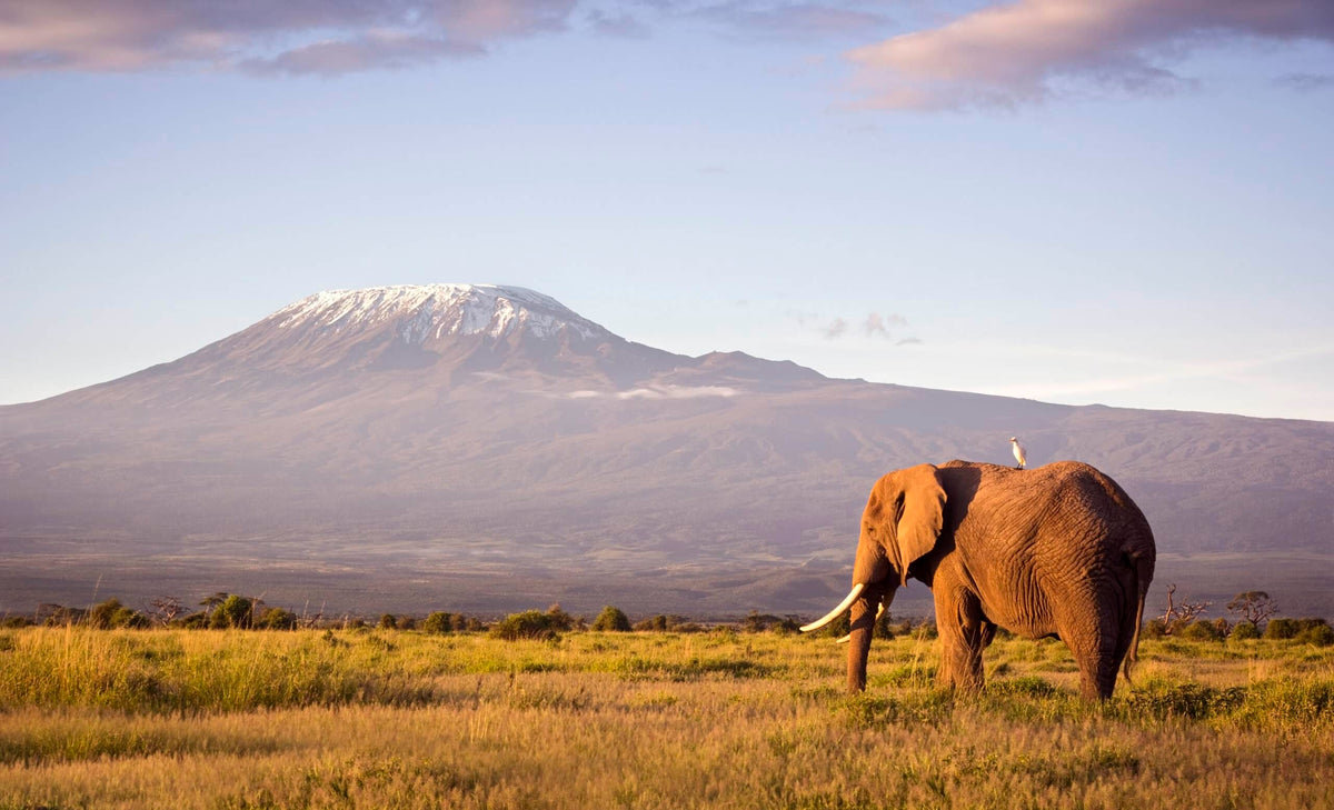 TANZANIA
