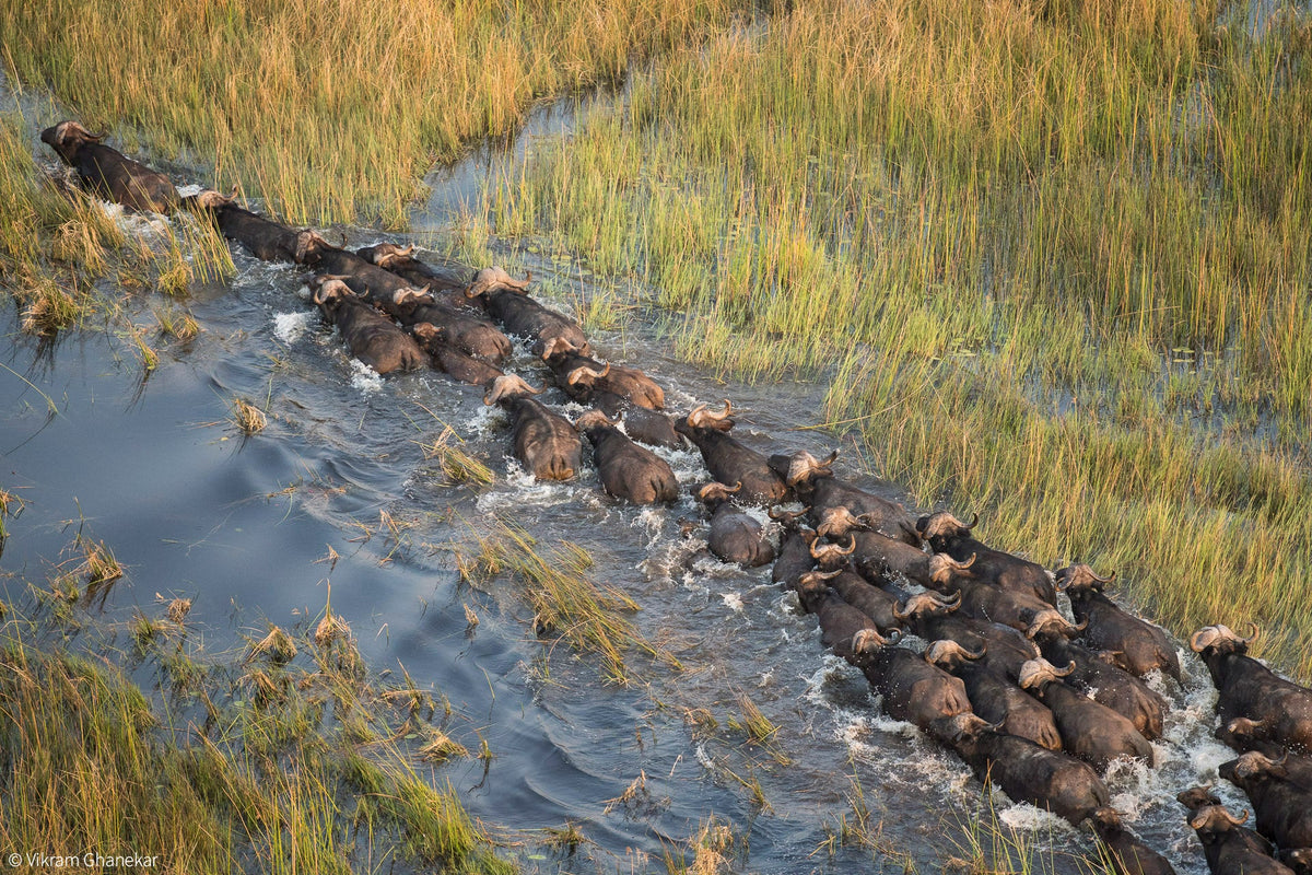 BOTSWANA