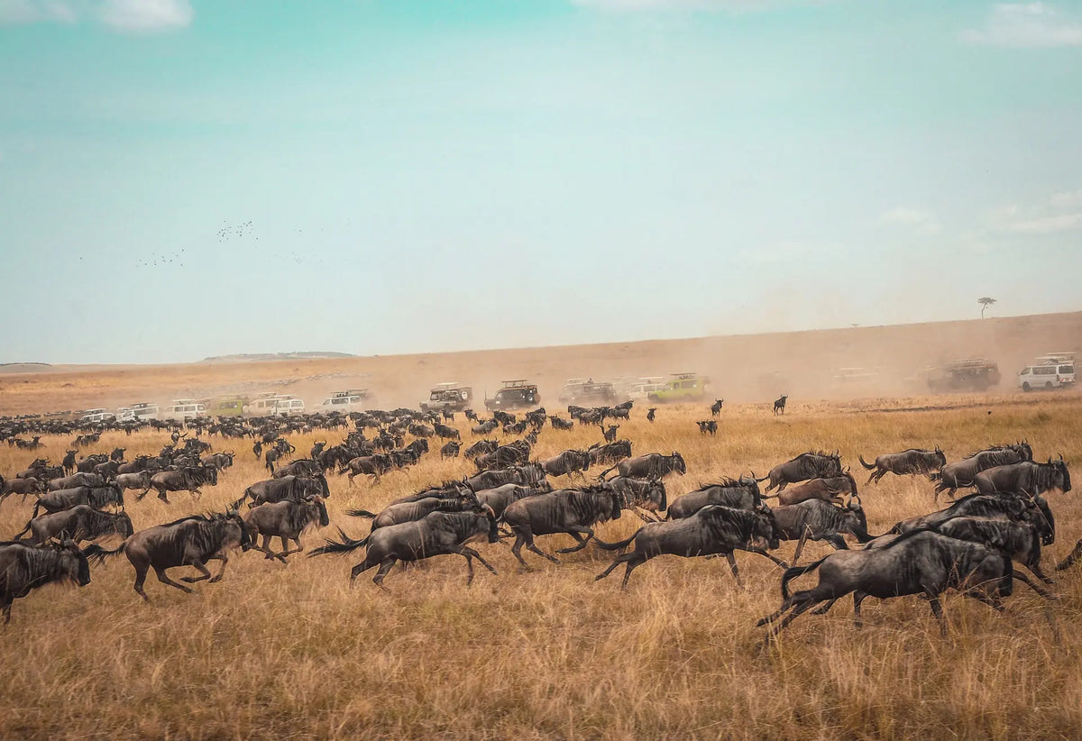 KENYA