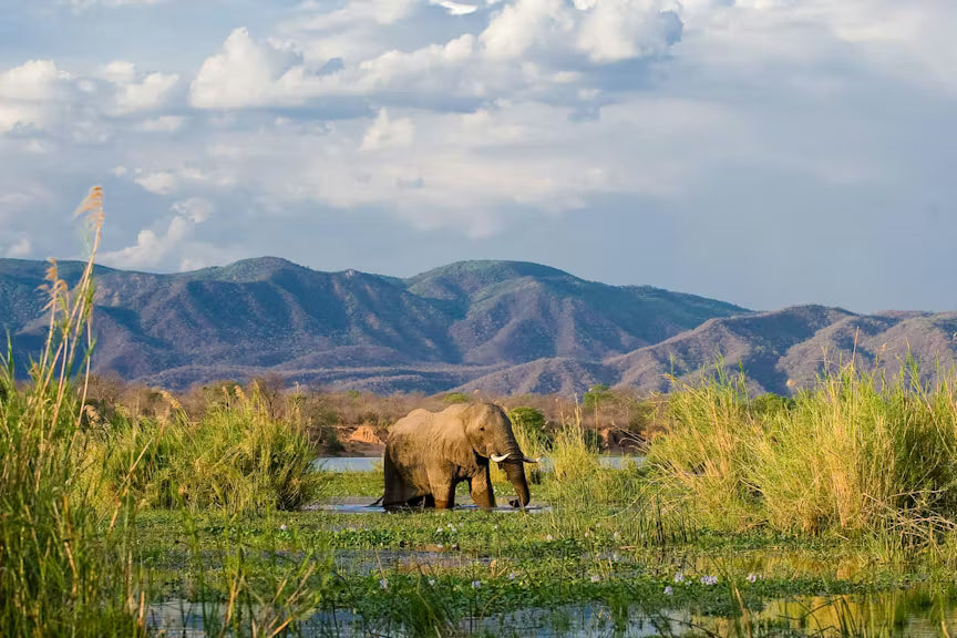 ZAMBEZI & LUANGWA SIGNATURE SAFARI