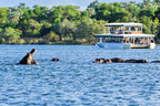 VICTORIA FALLS & CHOBE SAFARI