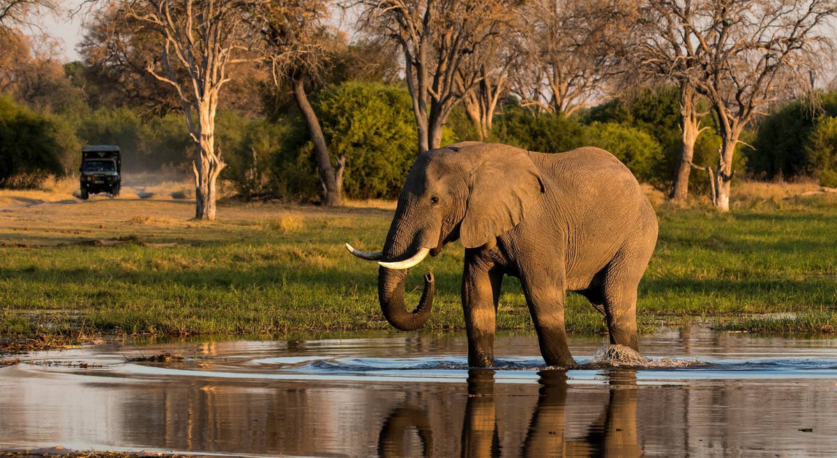 VICTORIA FALLS, CHOBE & OKAVANGO EXPLORER