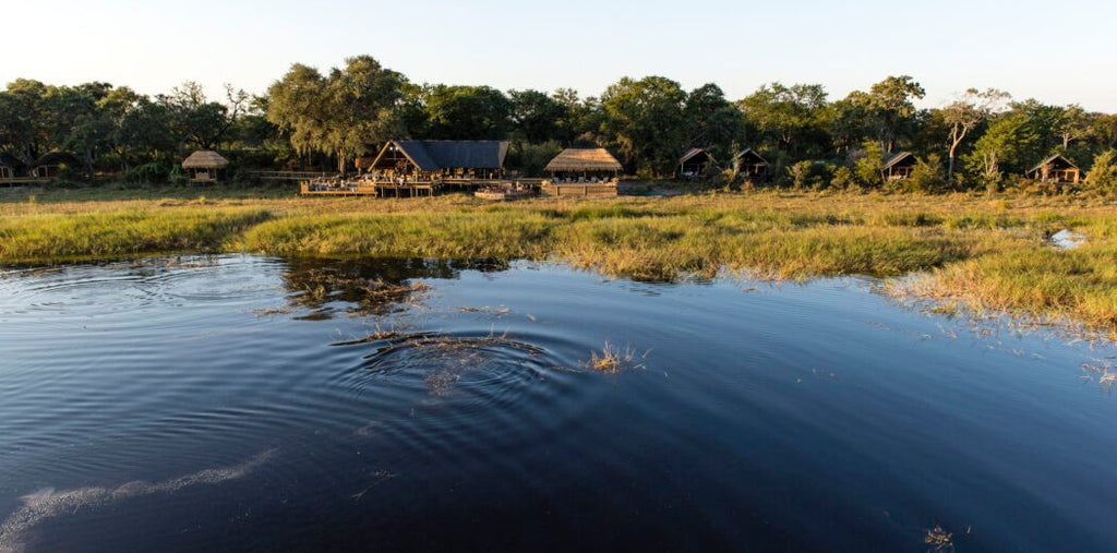 BOTSWANA SIGNATURE SAFARI