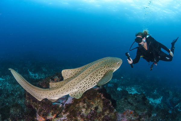 MADAGASCAR DIVING AND WILDLIFE ADVENTURE