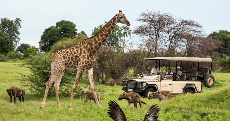 BOTSWANA WILDLIFE EXPLORER