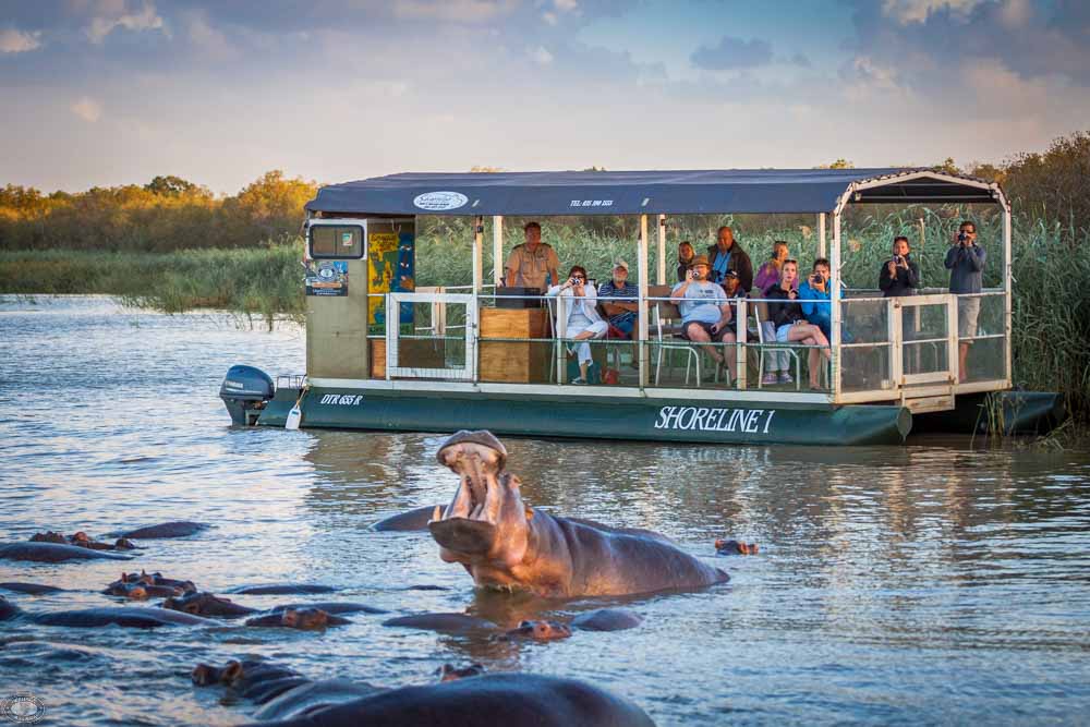 KRUGER, CAPE TOWN & VICTORIA FALLS SIGNATURE JOURNEY – IC Africa ...