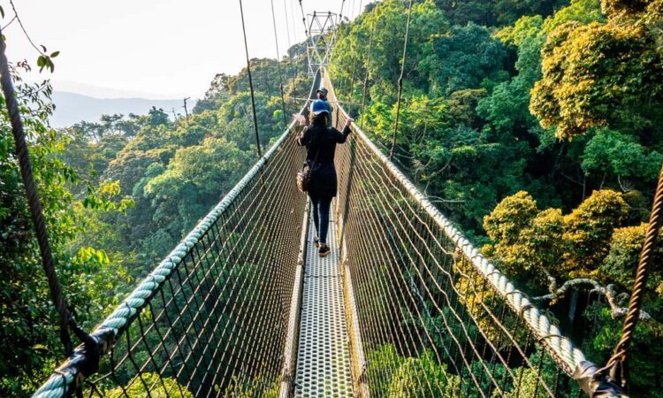 RWANDA GORILLA & RAINFOREST SAFARI