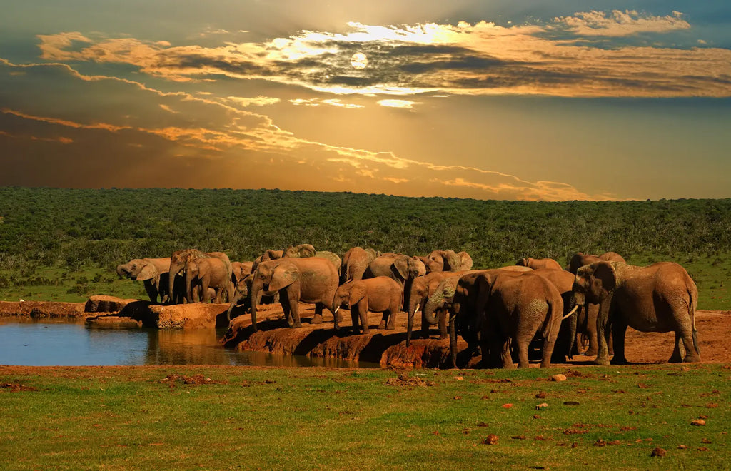 SOUTHERN AFRICA SIGNATURE JOURNEY