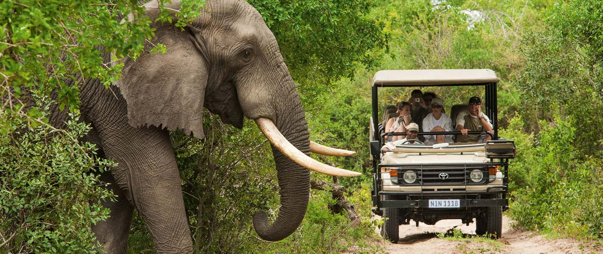 KRUGER & MOZAMBIQUE SAFARI AND BEACH ESCAPE