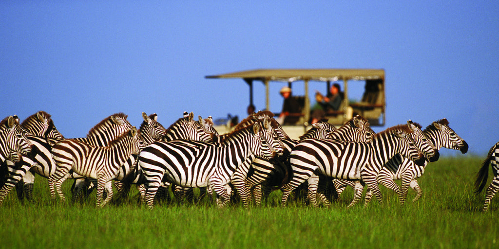 SERENGETI GREAT MIGRATION SAFARI