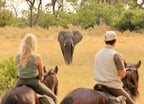 BOTSWANA WILDLIFE EXPLORER