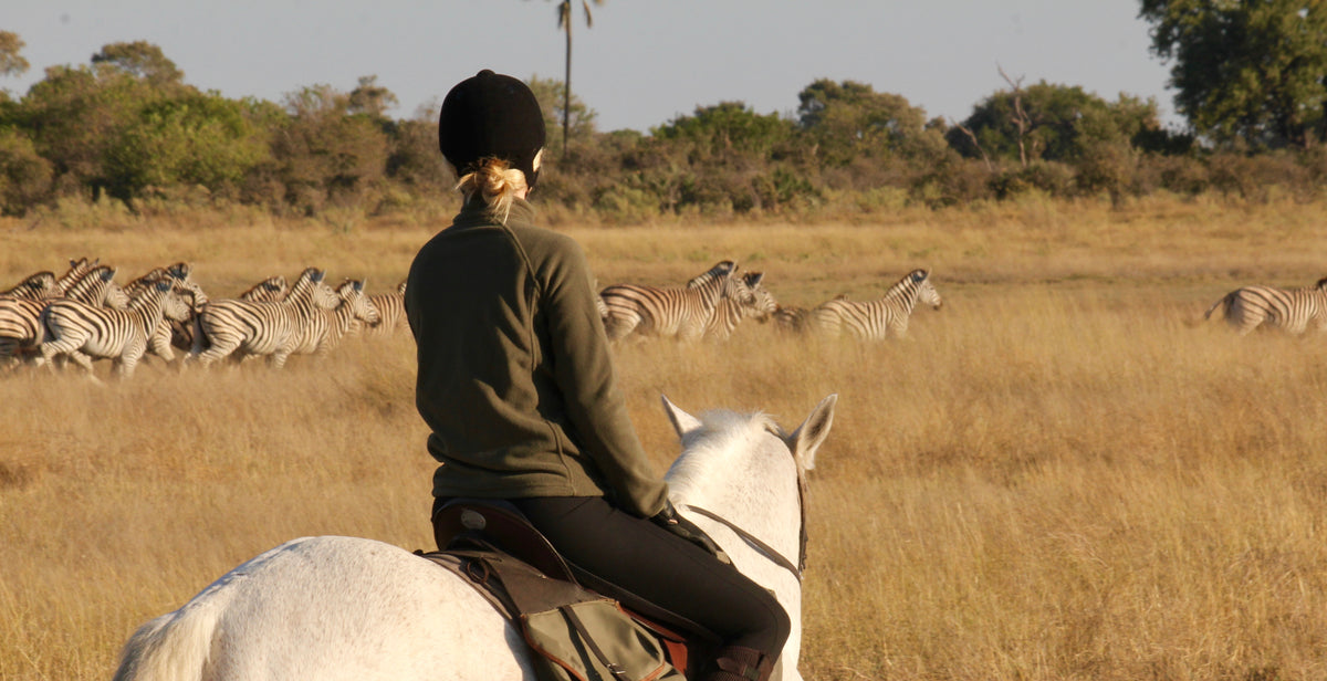 BOTSWANA WILDLIFE EXPLORER