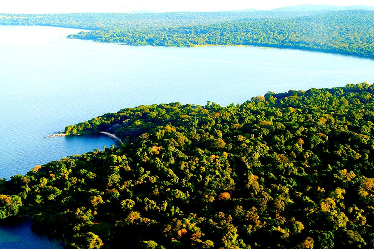 GREAT EAST AFRICA MIGRATION SAFARI