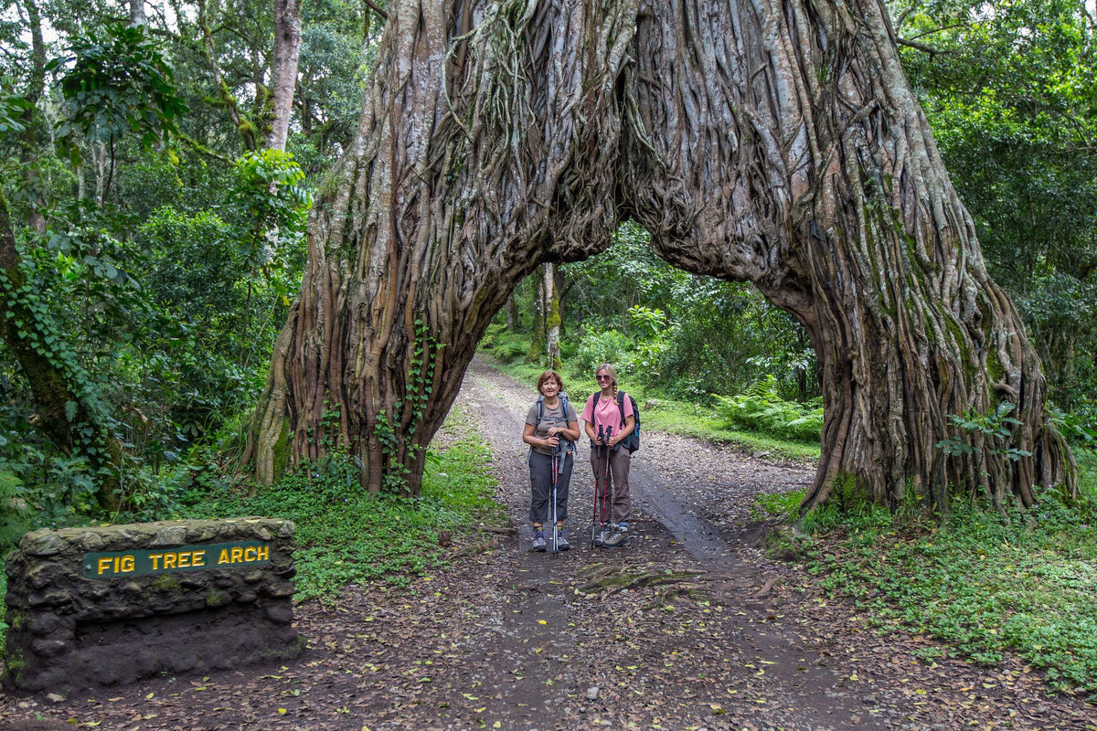 GREAT EAST AFRICA MIGRATION SAFARI