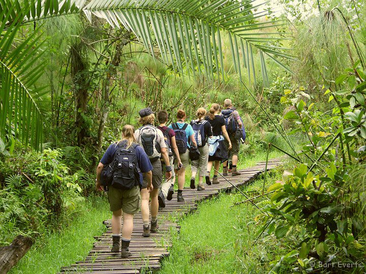 UGANDA GORILLA & WILDLIFE SAFARI
