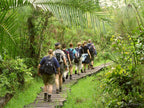 UGANDA GORILLA & WILDLIFE SAFARI
