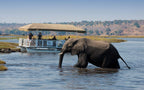 VICTORIA FALLS & CHOBE SAFARI
