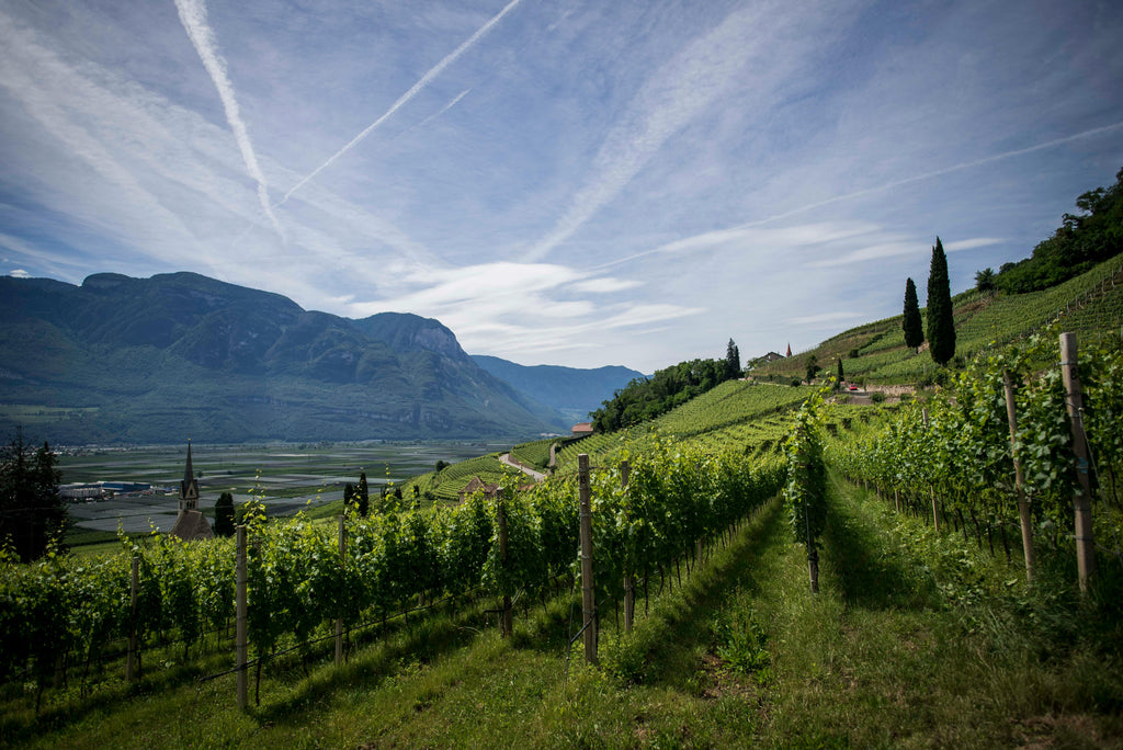 CAPE TOWN & WINELANDS SIGNATURE
