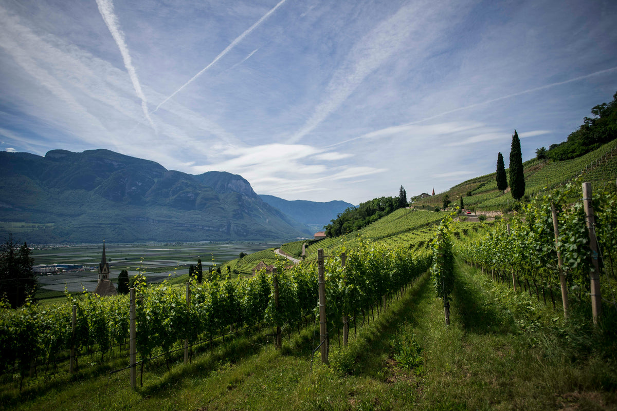 CAPE TOWN & WINELANDS SIGNATURE