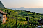 CAPE TOWN & WINELANDS SIGNATURE