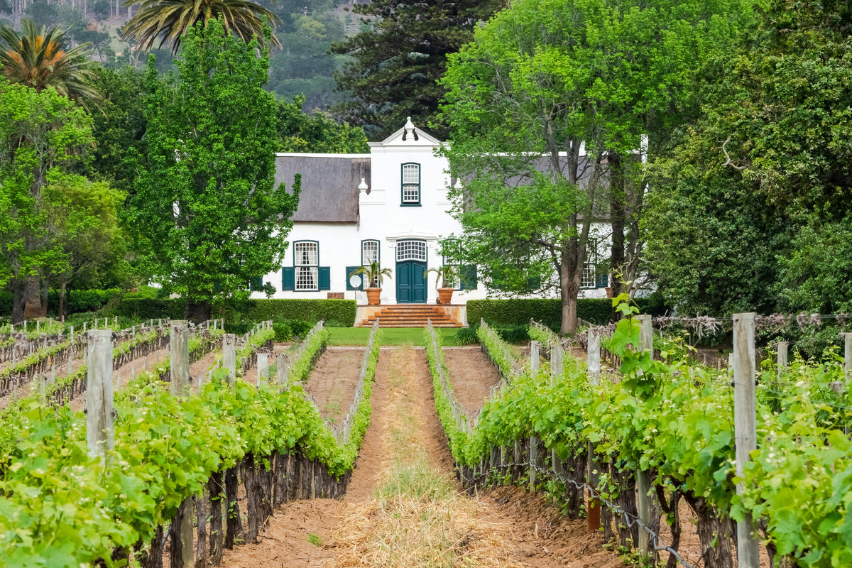 CAPE TOWN & WINELANDS SIGNATURE