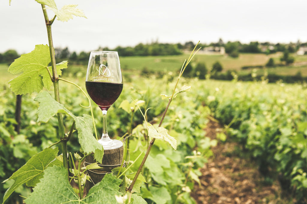 CAPE TOWN & WINELANDS SIGNATURE