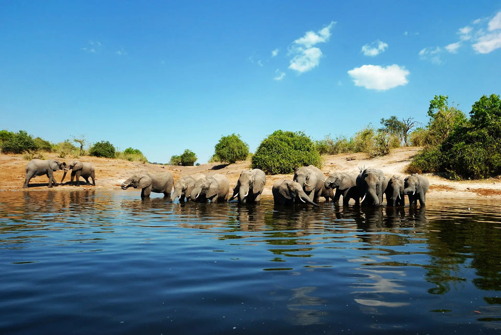 VICTORIA FALLS, CHOBE & OKAVANGO EXPLORER