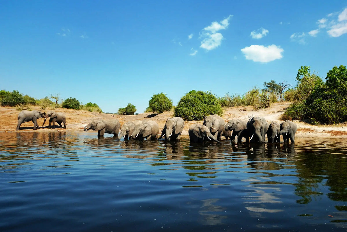 VICTORIA FALLS, CHOBE & OKAVANGO EXPLORER