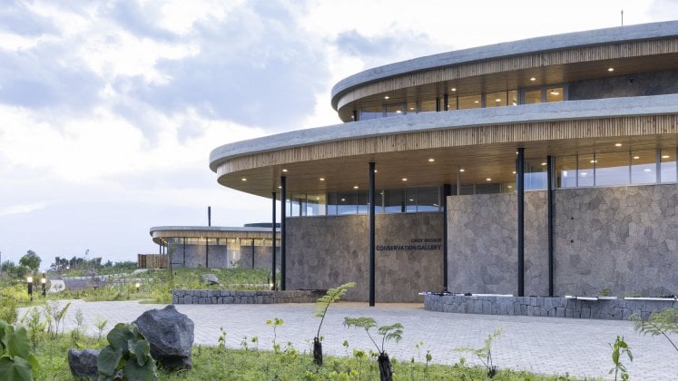 RWANDA GORILLA & RAINFOREST SAFARI