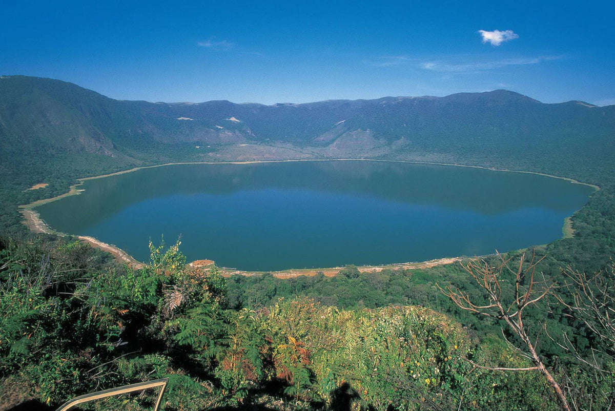 NORTHERN TANZANIA SAFARI EXPERIENCE