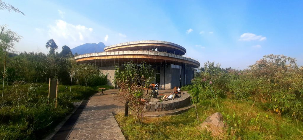 RWANDA GORILLA & RAINFOREST SAFARI