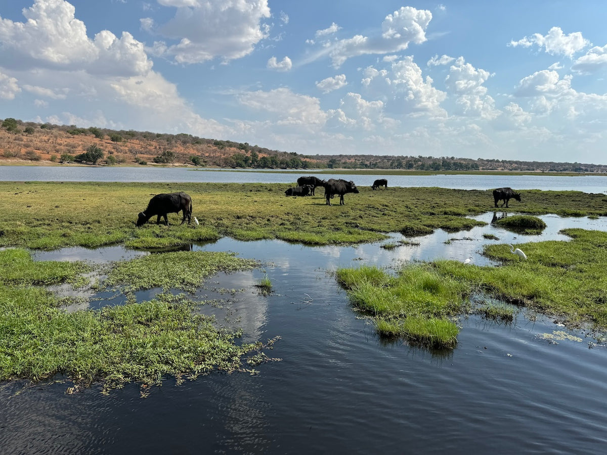 VICTORIA FALLS, CHOBE & OKAVANGO EXPLORER