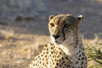 KRUGER SIGNATURE EXPERIENCE