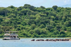UGANDA GORILLA & WILDLIFE SAFARI