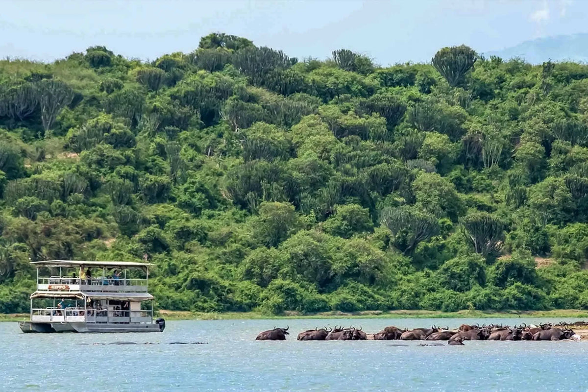UGANDA GORILLA & WILDLIFE SAFARI