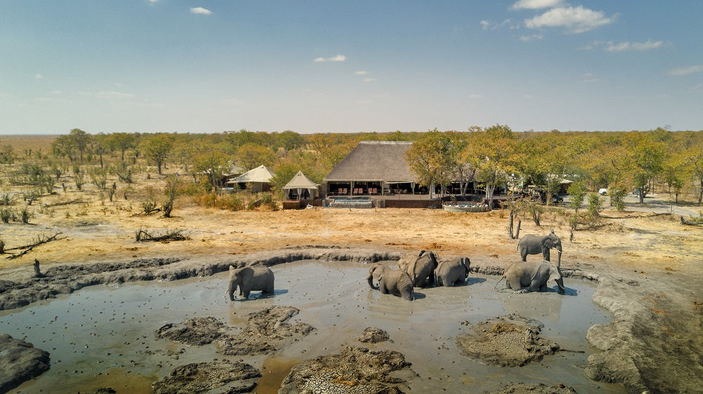 BOTSWANA SIGNATURE SAFARI