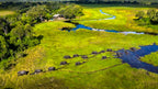 VICTORIA FALLS, CHOBE & OKAVANGO EXPLORER
