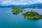 RWANDA GORILLA & RAINFOREST SAFARI