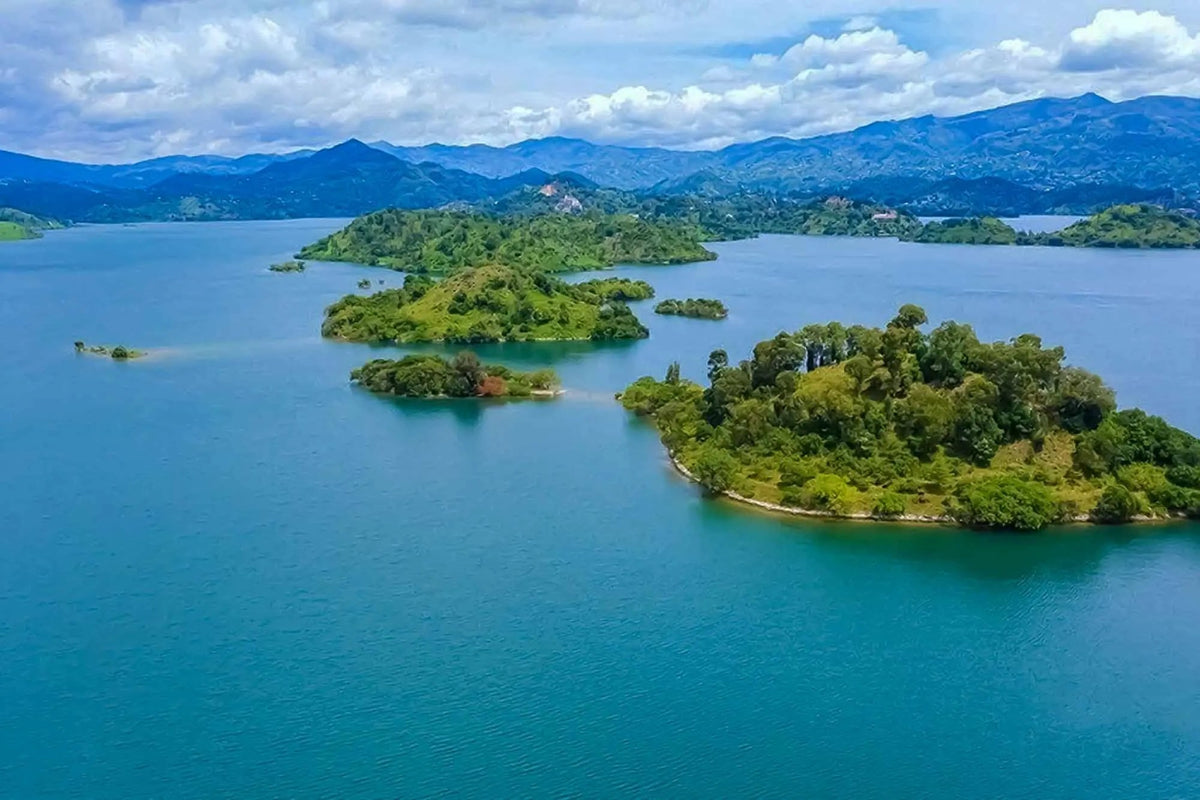 RWANDA GORILLA & RAINFOREST SAFARI