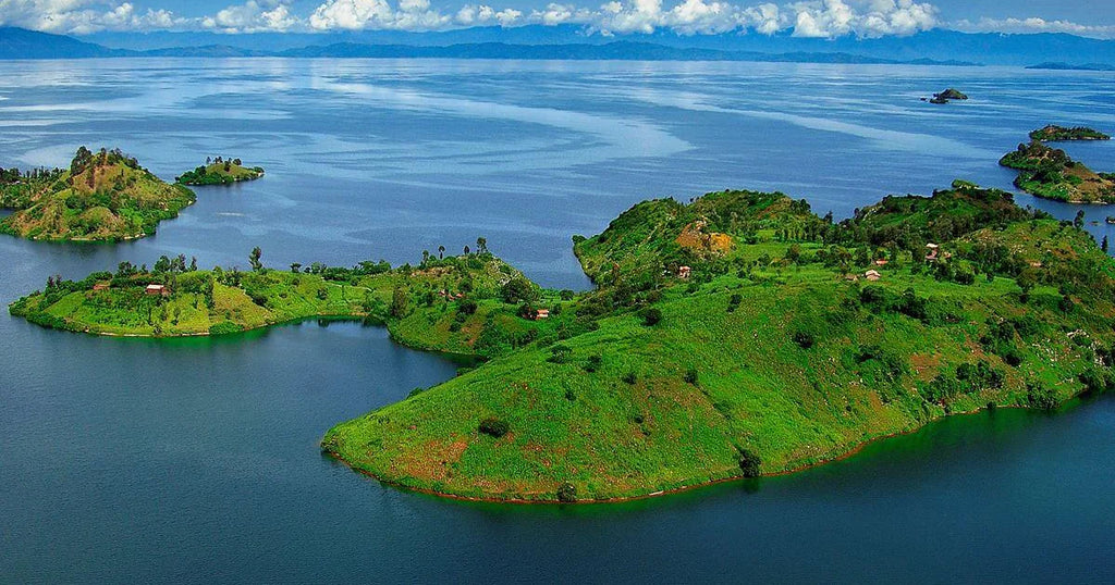 RWANDA GORILLA & RAINFOREST SAFARI