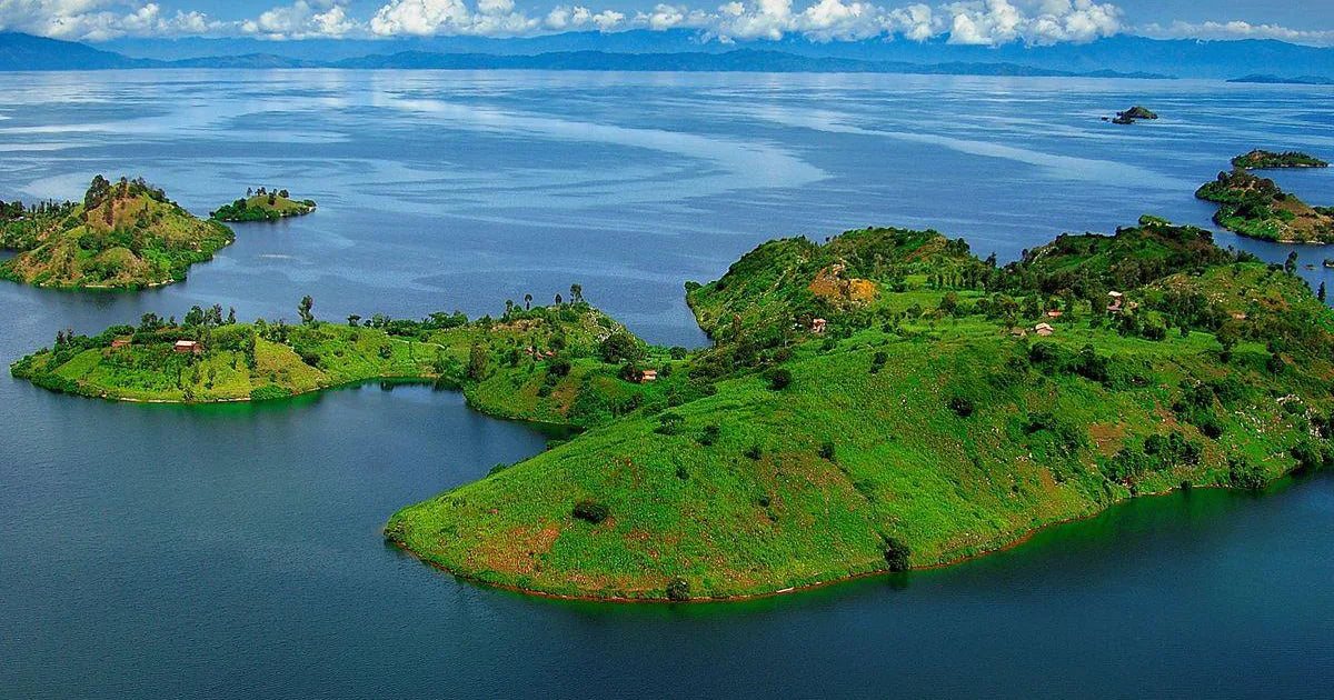 RWANDA GORILLA & RAINFOREST SAFARI