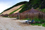 KRUGER & MOZAMBIQUE SAFARI AND BEACH ESCAPE
