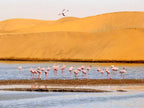 TRANS AFRICA SIGNATURE LODGE SAFARI