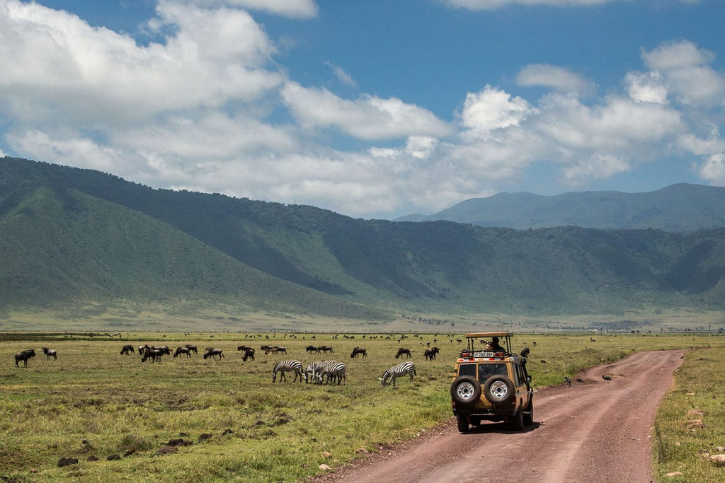 NORTHERN TANZANIA SAFARI EXPERIENCE