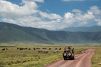 NORTHERN TANZANIA SAFARI EXPERIENCE