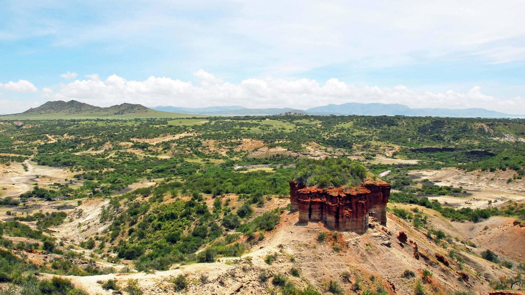 NORTHERN TANZANIA SAFARI EXPERIENCE