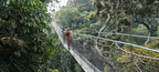 RWANDA GORILLA & RAINFOREST SAFARI
