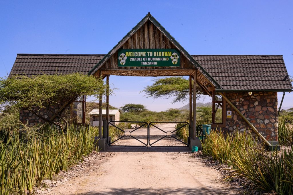 NORTHERN TANZANIA SAFARI EXPERIENCE