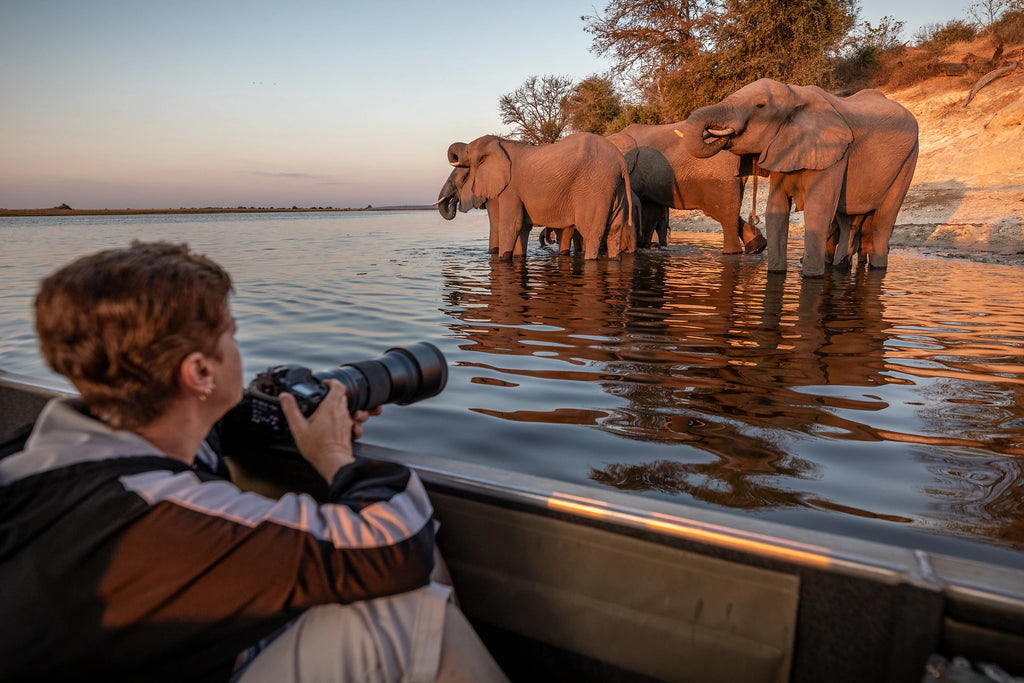 VICTORIA FALLS & CHOBE SAFARI
