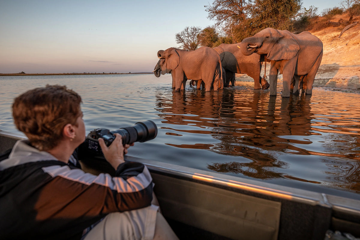 VICTORIA FALLS & CHOBE SAFARI